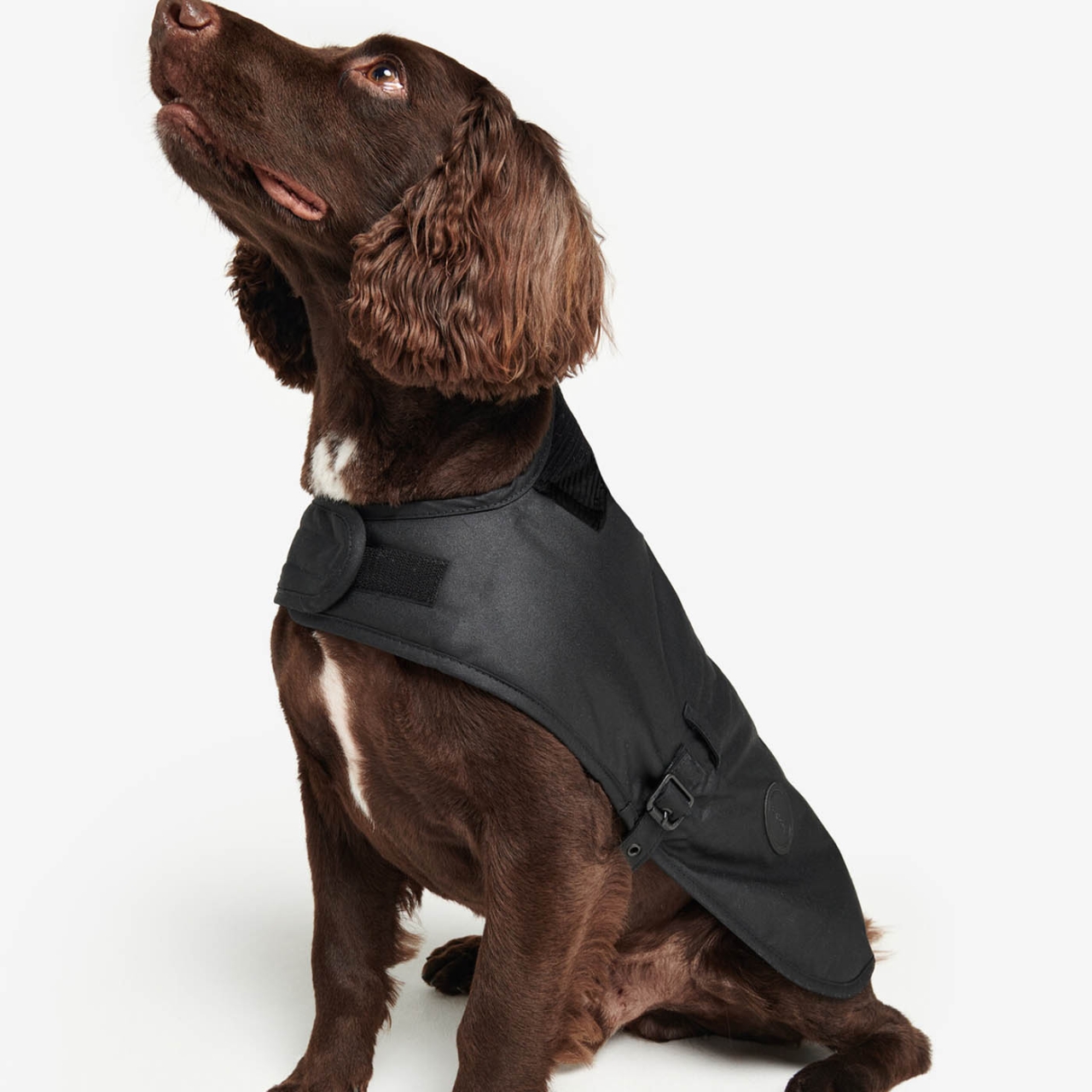 Barbour Wax Dog Coat - schwarz
