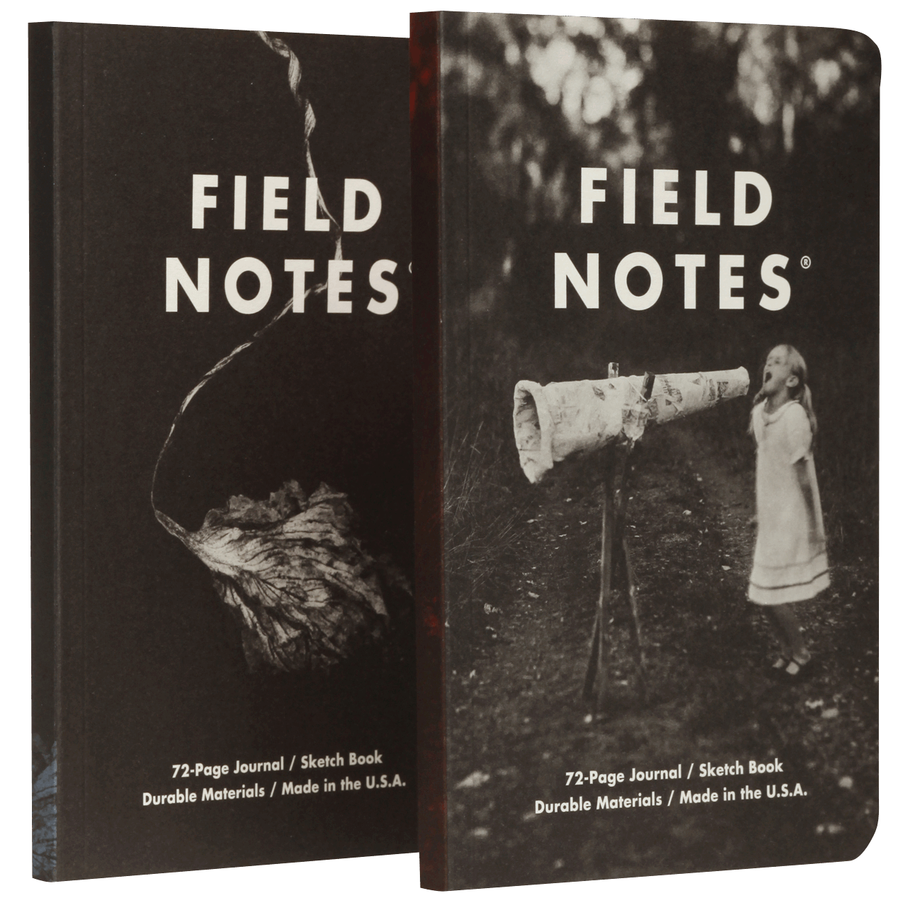 Field Notes “Maggie Rogers”