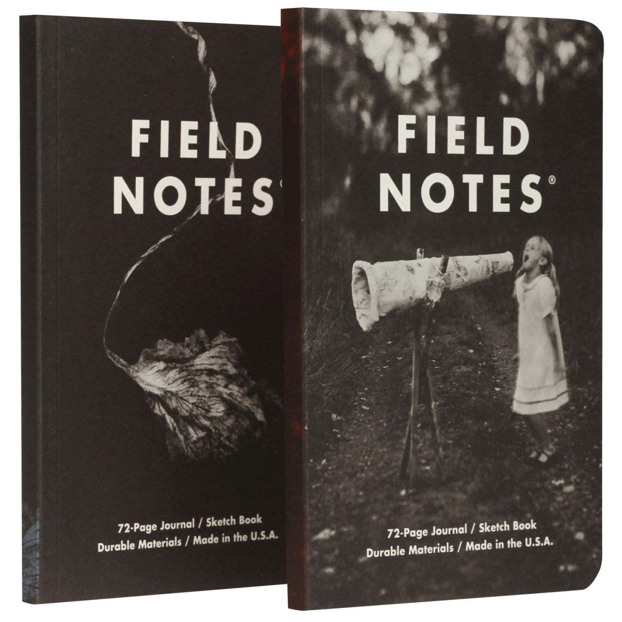 Field Notes “Maggie Rogers”